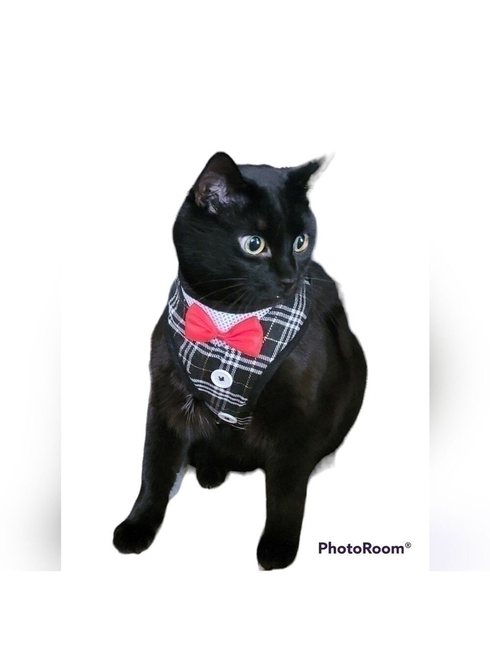 **3/$25**elegant Cat Dog Harness Vest with Leash Bow Tie Tuxedo Style Adjustable